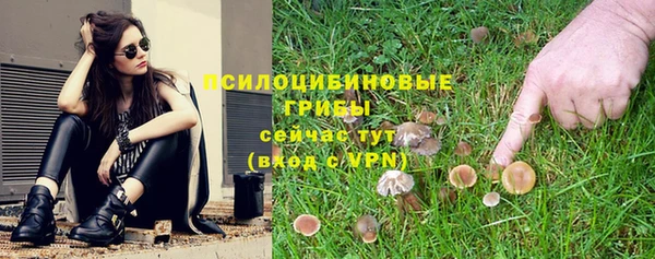 спиды Алексеевка