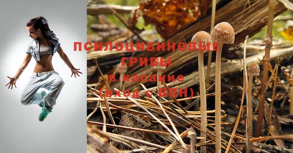 спиды Алексеевка