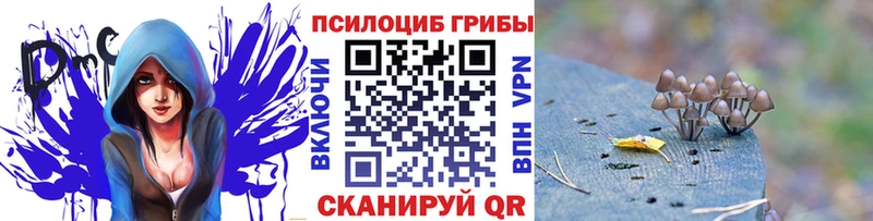 kraken как зайти  продажа наркотиков  Учалы  Псилоцибиновые грибы Cubensis 